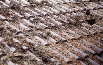 Salters Lode roof cleaning companies