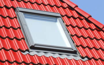 roof windows Salters Lode, Norfolk