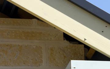 soffit repair Salters Lode